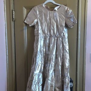 J. Crew Shimmering Silver Kids Dress